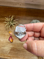 Hearth Ring -size 8 1/2 - Kingman turquoise & sterling silver