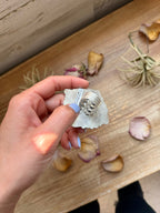 Mosaic Cluster Ring – Sterling Silver – Sonoran Mountain, Blue Ridge Turquoise & Spiny Oyster – Size 9 – Artist Shay Pfeiffer