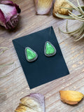 Carico Lake turquoise stud earrings sterling silver green blue stone