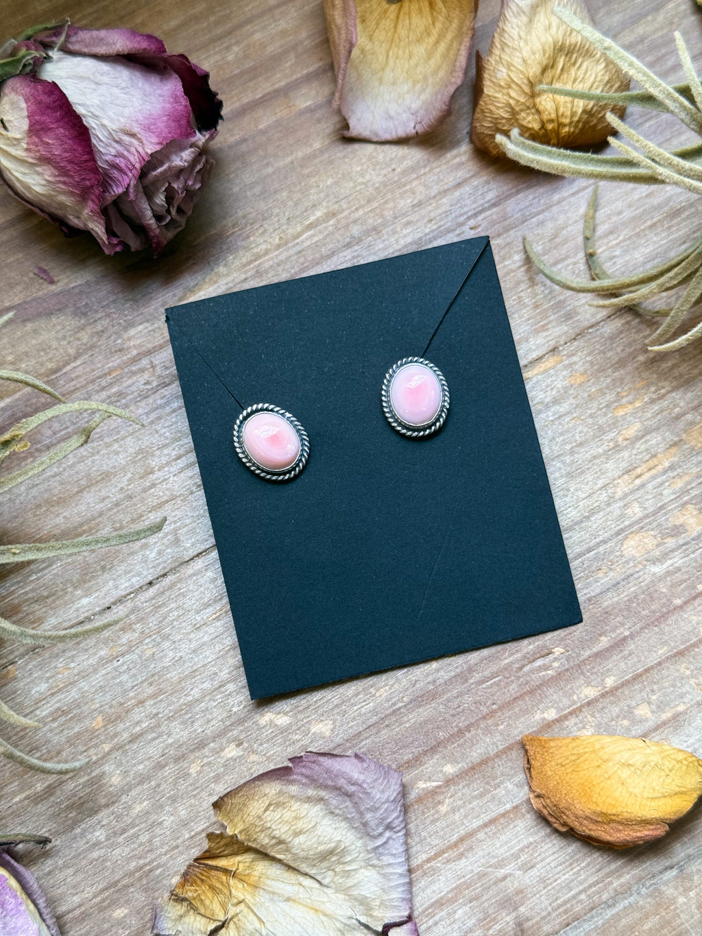 Pink conch sterling silver stud earrings by Jason Ogg, soft blush shell tones, handmade southwestern jewelry, classic everyday studs USA