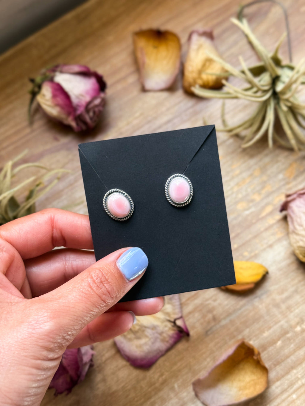 Pink Conch Sterling Silver Stud Earrings by Jason Ogg USA