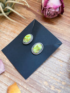Palomino Variscite Sterling Silver Stud Earrings | Artist Jason Ogg