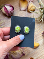 Palomino Variscite Sterling Silver Stud Earrings | Artist Jason Ogg