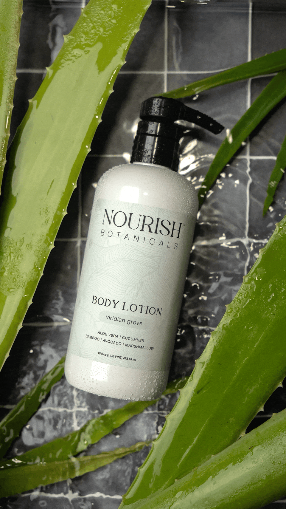 Aloe Vera Body Lotion | Unscented