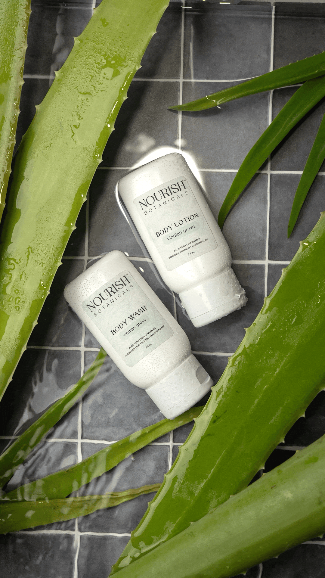 Aloe Vera Body Lotion | Cottage Garden